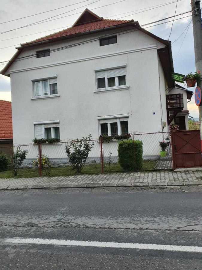Casa De Oaspeti Anna Apartment Sovata Bagian luar foto