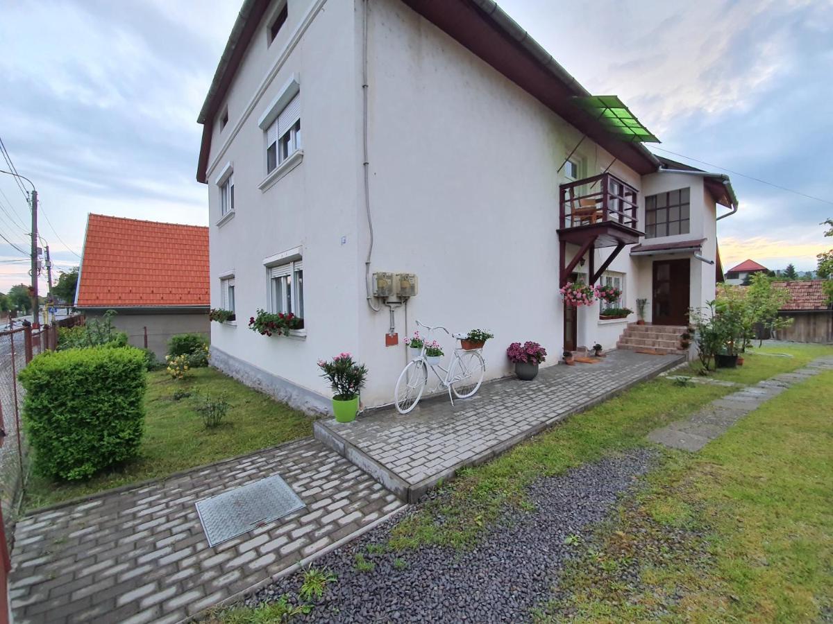 Casa De Oaspeti Anna Apartment Sovata Bagian luar foto