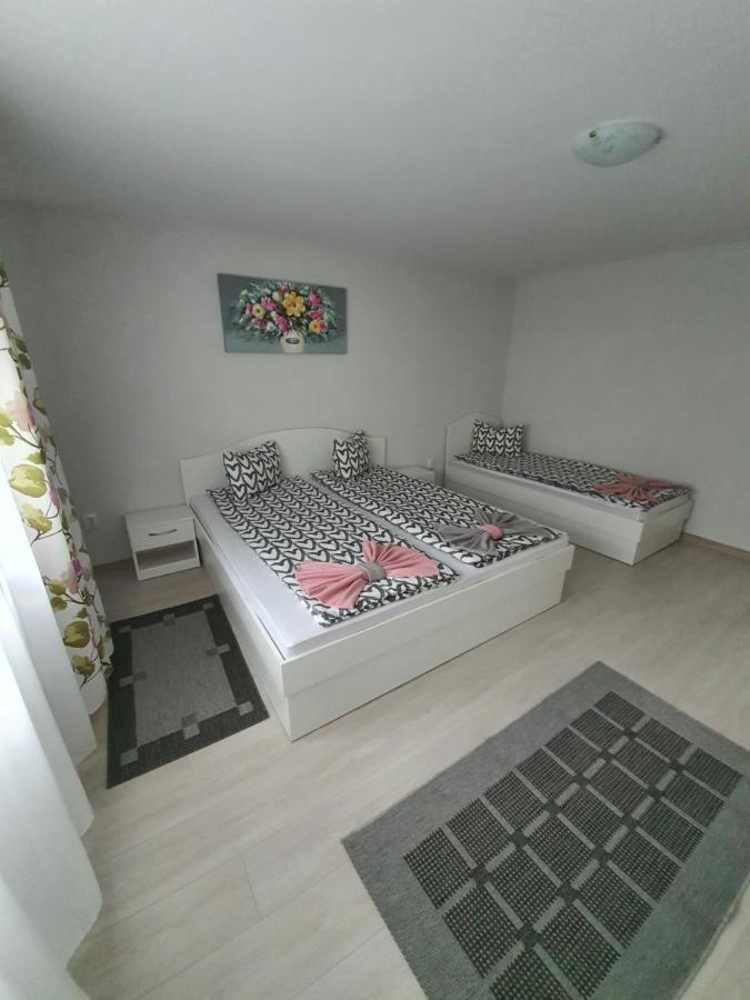 Casa De Oaspeti Anna Apartment Sovata Bagian luar foto