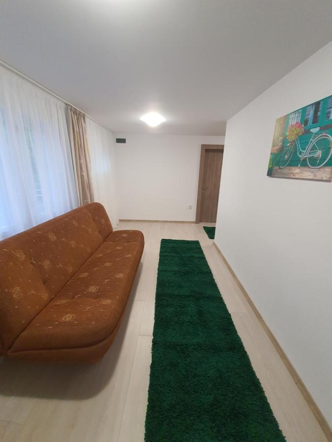 Casa De Oaspeti Anna Apartment Sovata Bagian luar foto